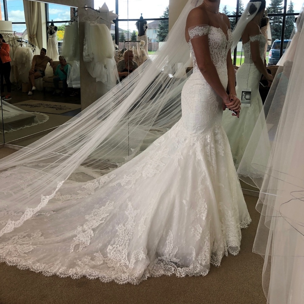 Pronovias Wedding dress
